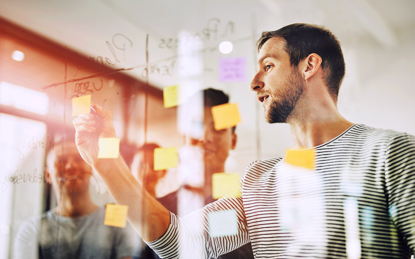 Team plant Projekt am Whiteboard